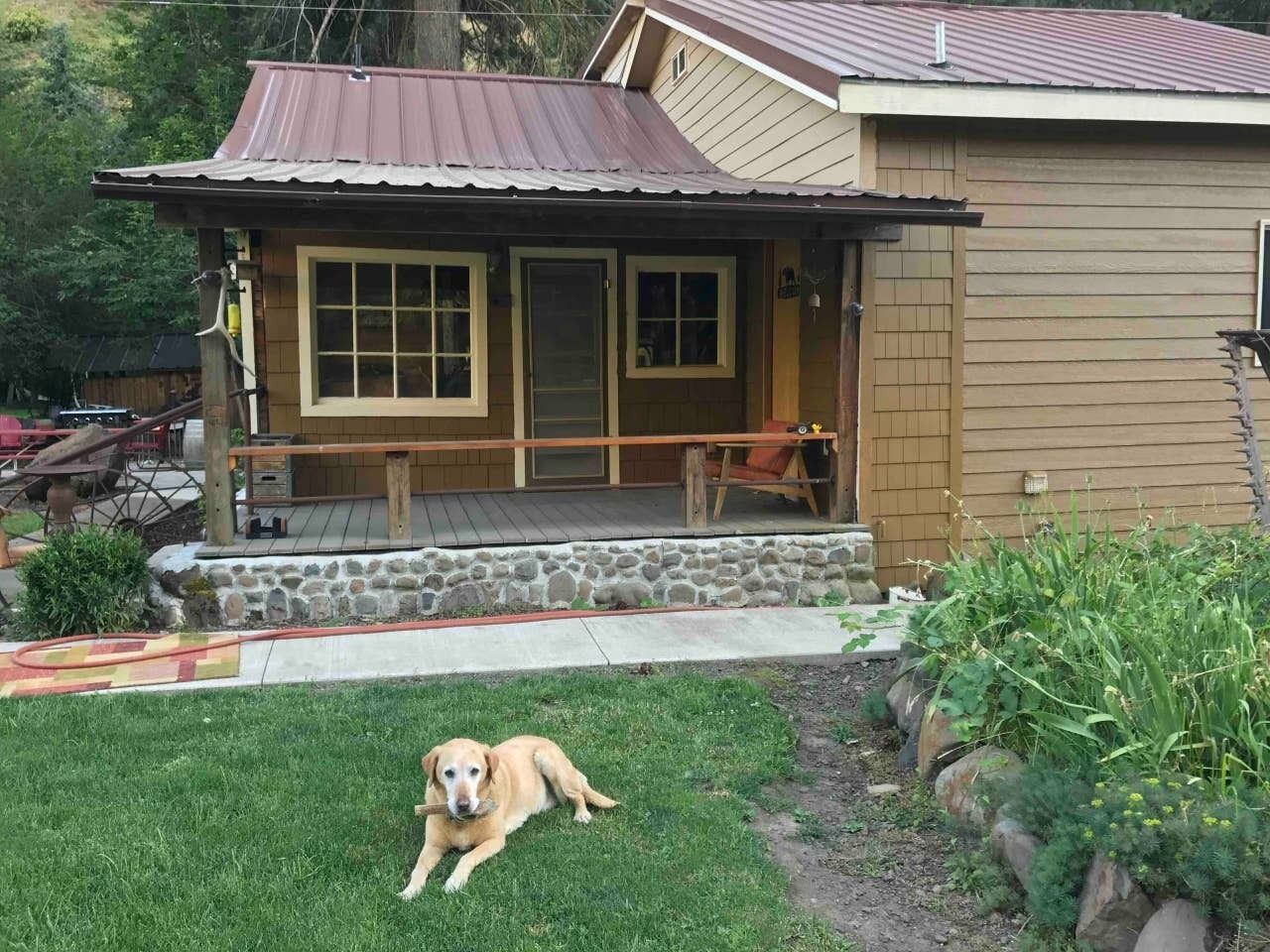 Ein Haus mit einer Veranda, einem Hund, der im Gras liegt, und einem Garten.