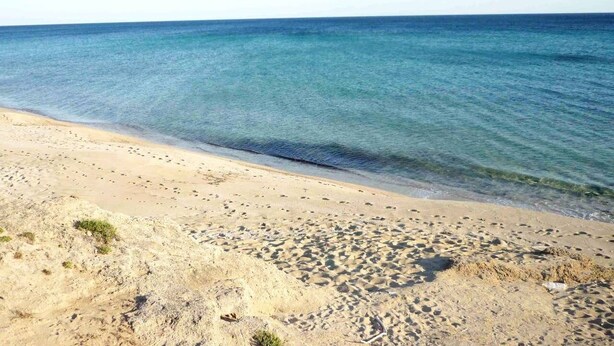 En strand med krystalklart blåt vand og sandet bredde.