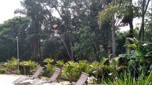 A sunlit outdoor area with lounge chairs and a stone-tiled floor, surrounded by lush greenery and tall trees. - Sitio Oliveira Ibiúna (Ibiuna)