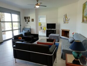 TV, fireplace, DVD player, books
