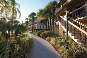 Stroll through our serene hotel corridor, lined with lush palm trees and beautifully maintained landscaping.