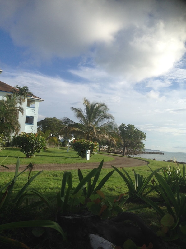 Property grounds - Condo in a Picturesque, Relaxing Gated Property in Negril (Negril)