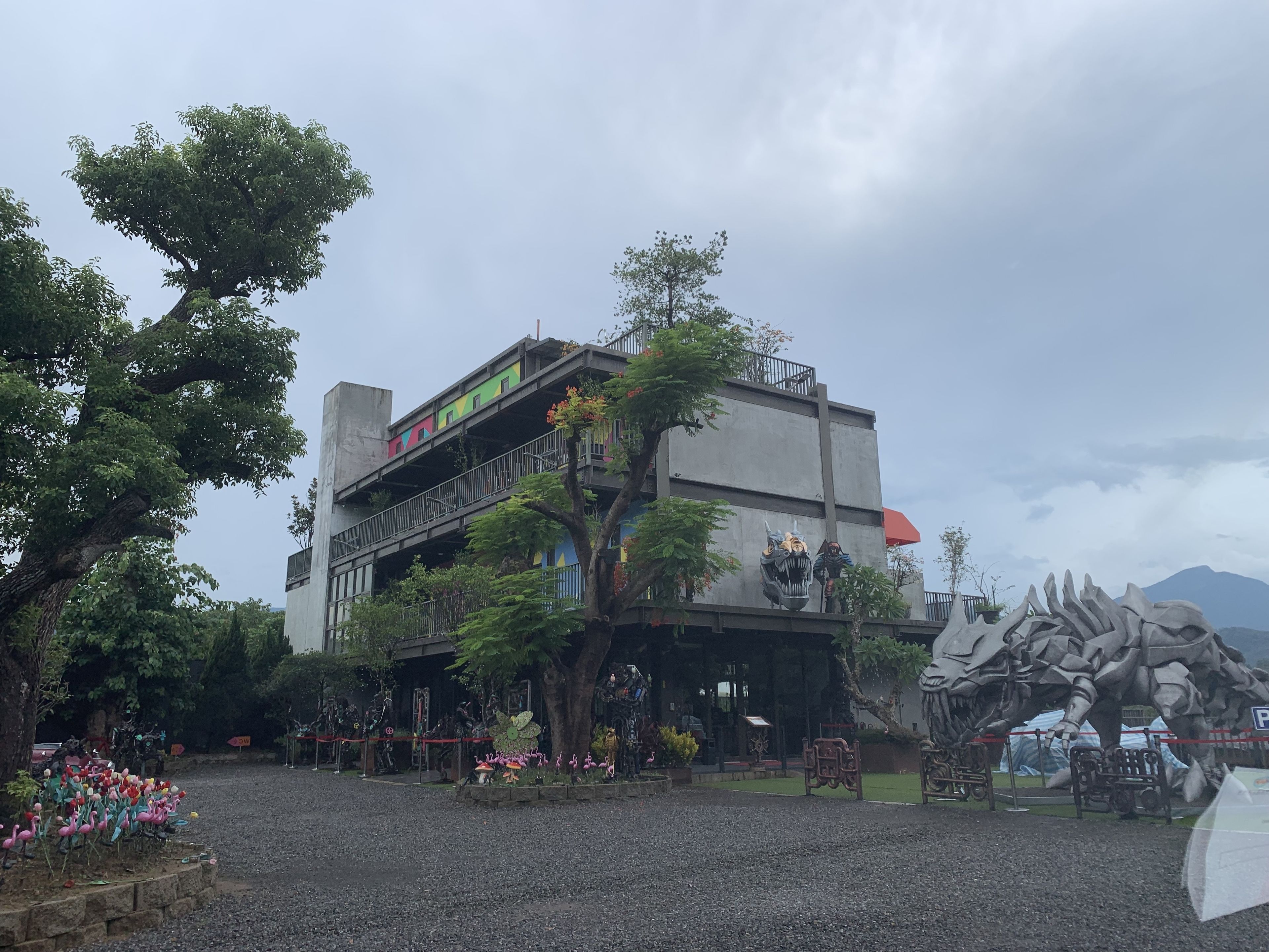 外观