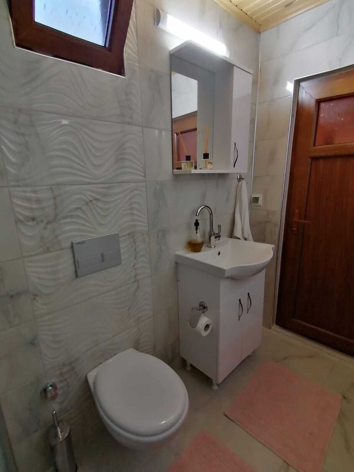 A bathroom with a toilet, sink, mirror, and a wooden door.