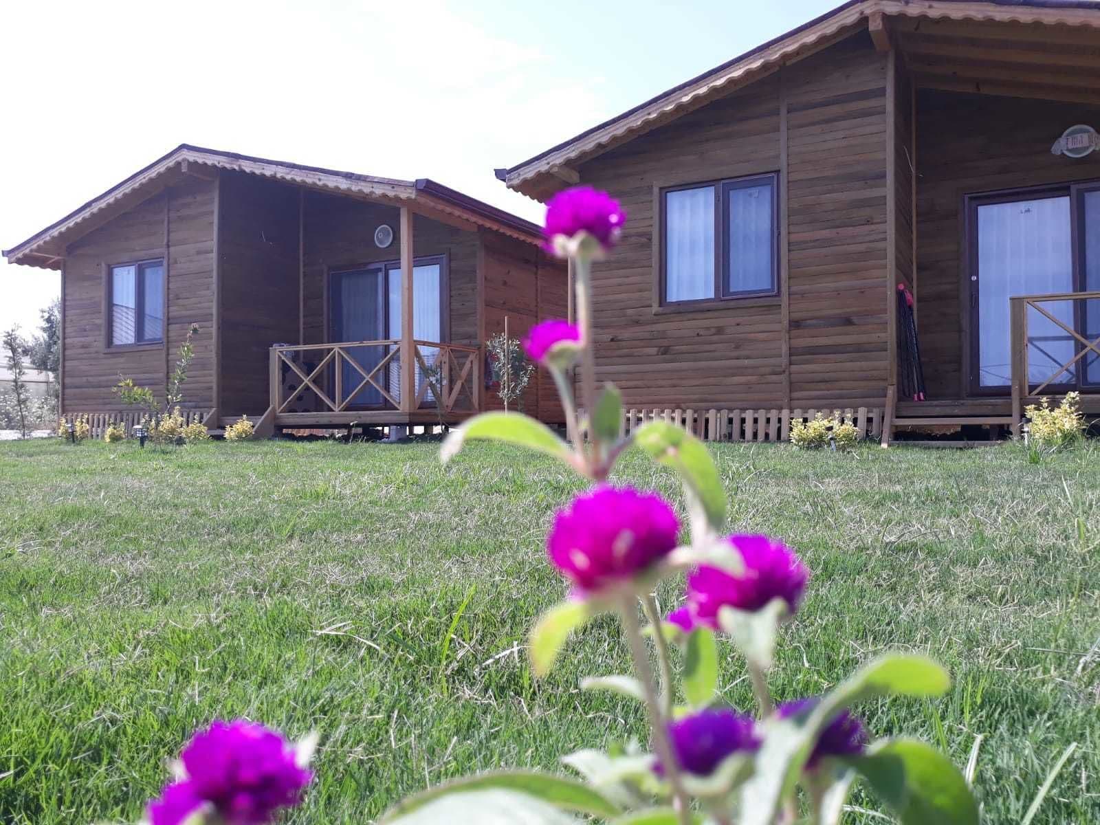 1 غرفة نوم وتجهيزات عازلة للصوت