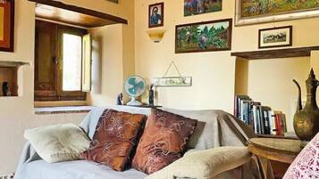 TV, fireplace, DVD player, books