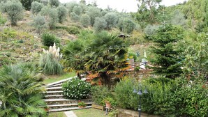 A garden with a stone pathway, various plants, and a lamp post.