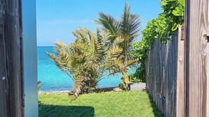 A pathway leading to a beach with palm trees and a wooden fence.