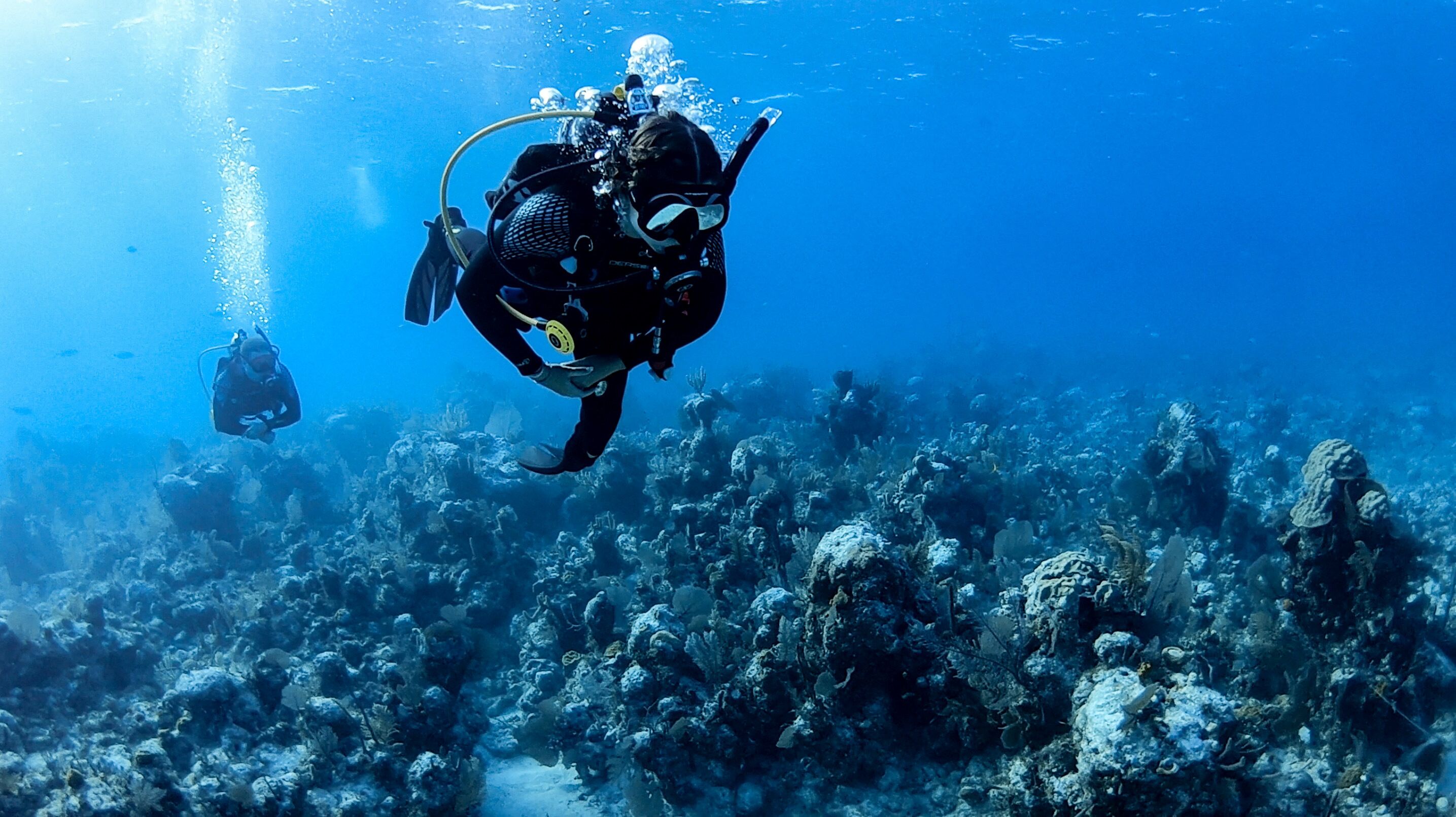 Due subacquei sott'acqua con una barriera corallina sullo sfondo.