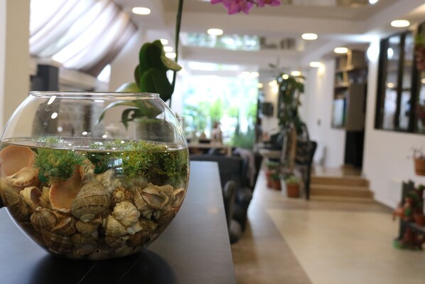 Interior - Seashell (Kobuleti)
