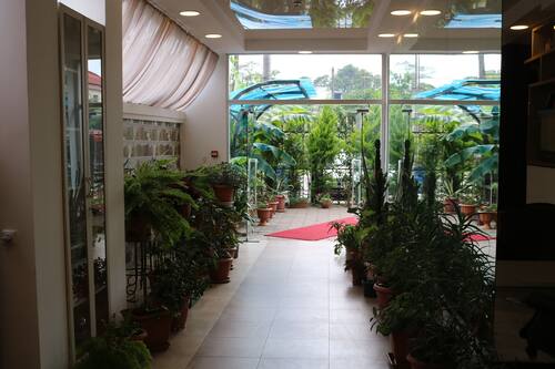 Hall