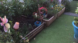 Un jardin agrémenté de différentes plantes en pot et d’une petite structure en bois.