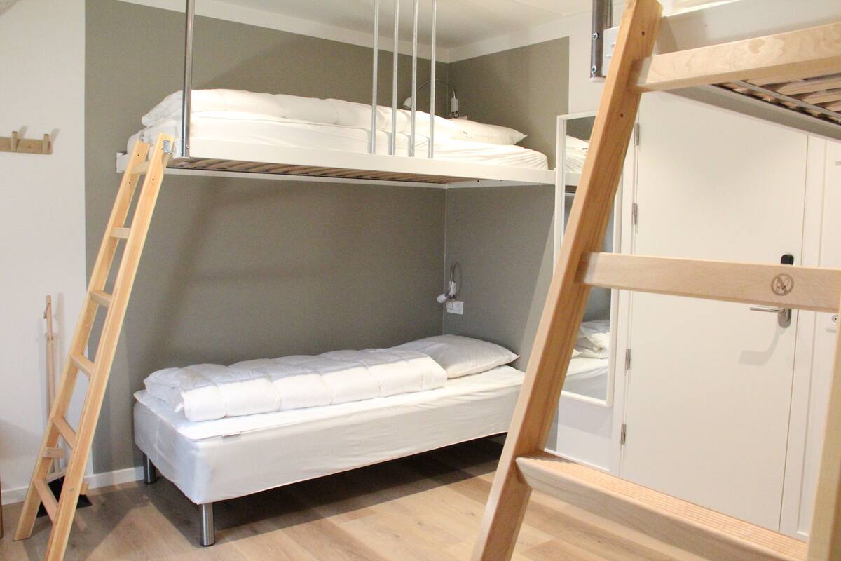 Una cama individual superpuesta con escalera, un armario y una mesita de noche en una habitación con suelo de madera.