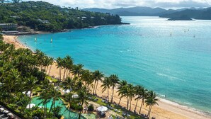 A beach resort with palm trees, a swimming pool, and a view of the ocean.