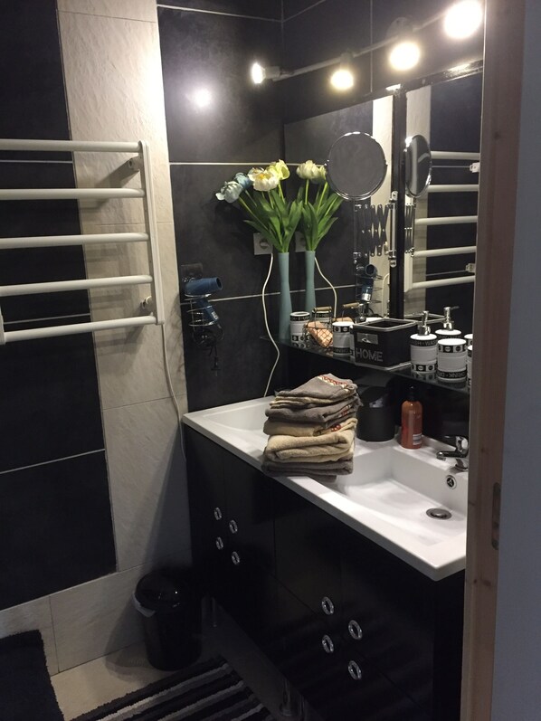 Bathroom - Room with private kitchen, private toilet and private bathroom (Saint-Maurice-la-Fougereuse)