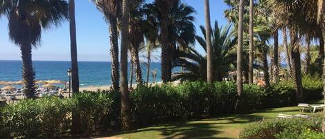 På stranden, solsenger og strandhåndklær