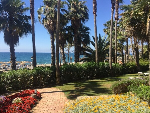 Plage, chaises longues, serviettes de plage