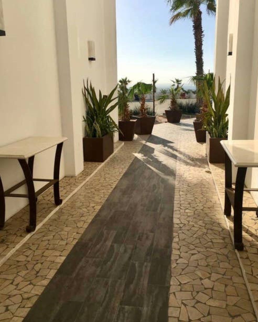 A corridor with a stone floor, potted plants, and white walls.