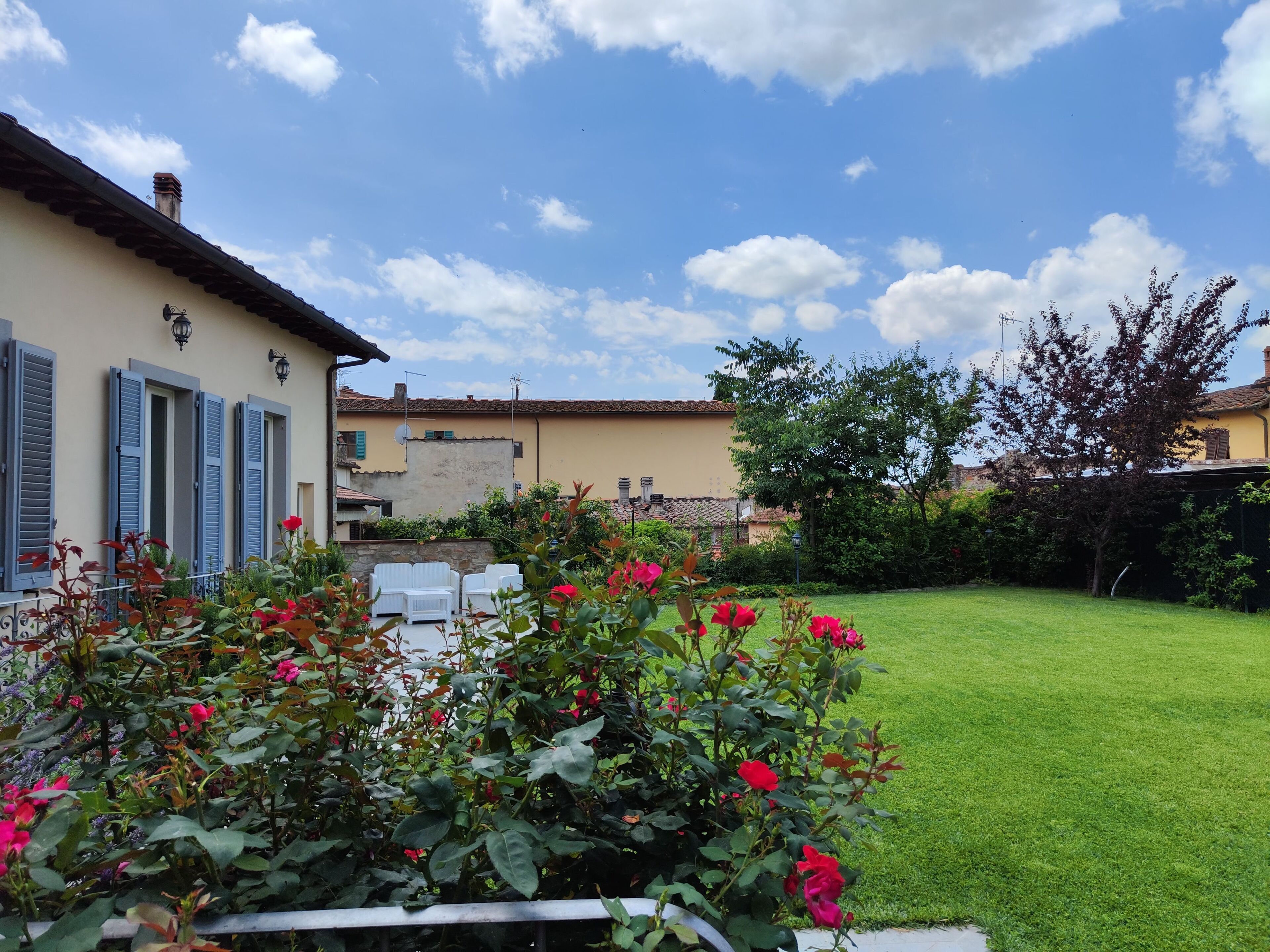A garden with a lawn and a building with blue shutters.