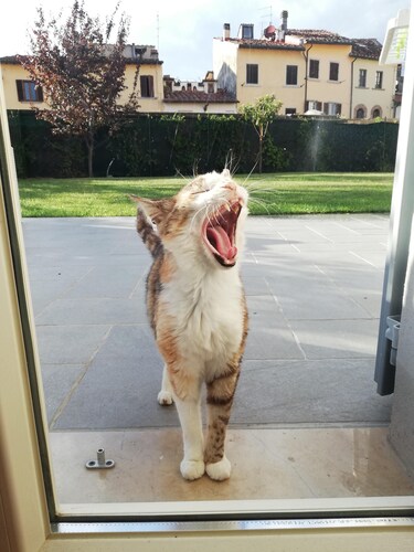 Holiday House 4/8 sleeps - House of Pietro Aretino, Arezzo historic center