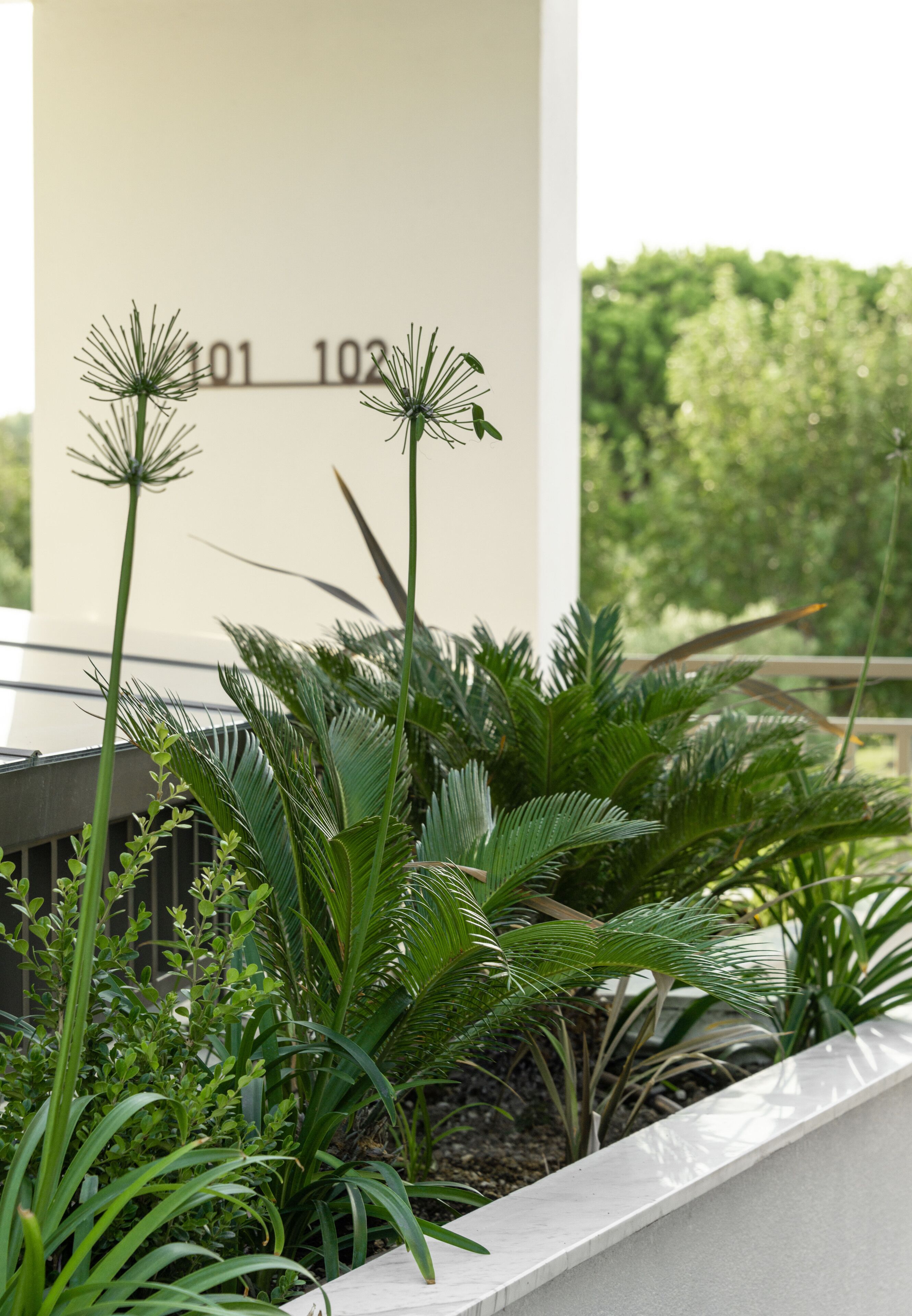 A balcony with lush green plants and a white column with numbers 101 and 102.