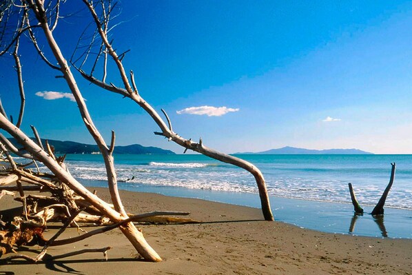 Playa