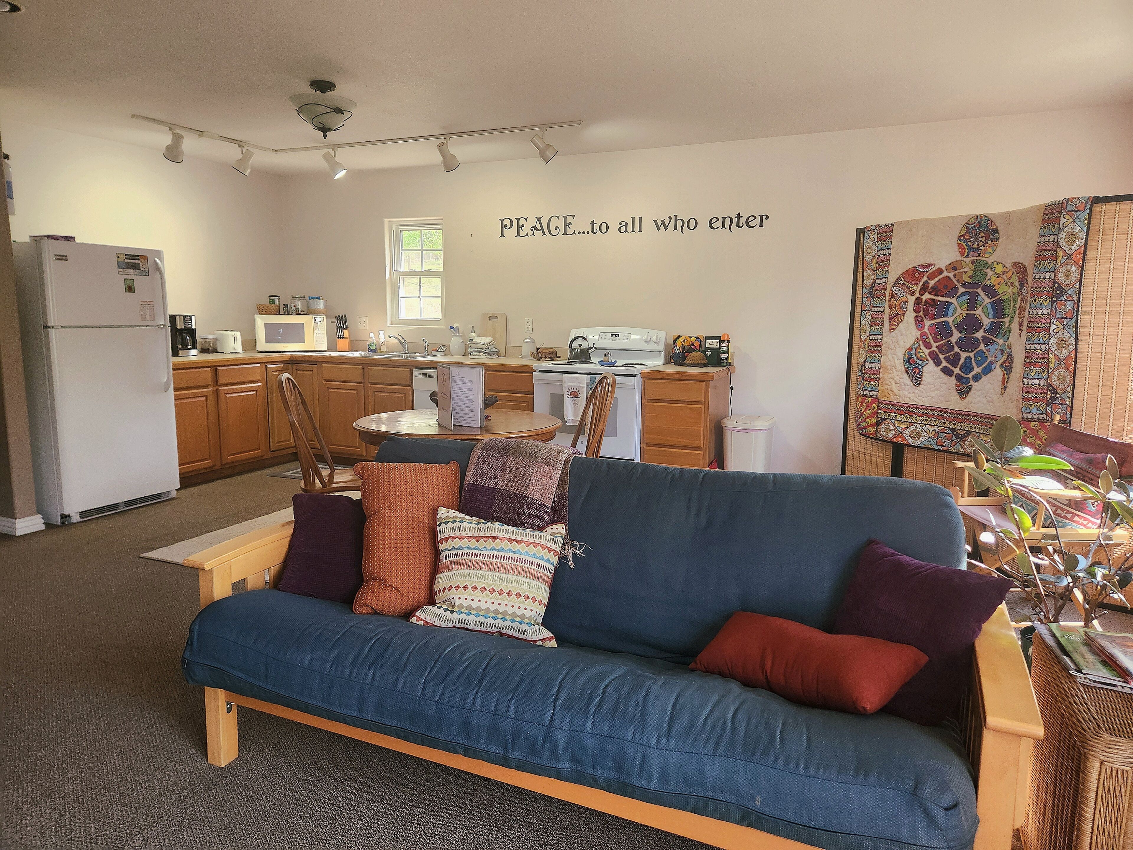 Smart TV, fireplace, DVD player, video library