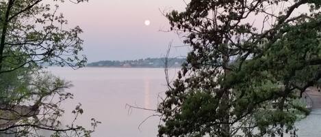 A calm lake with a visible moon in the sky, surrounded by trees.