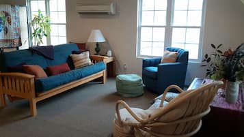 Smart TV, chimenea, reproductor de DVD y videoteca