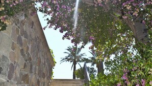 A stone staircase with a metal railing, surrounded by flowering vines and a palm tree in the background. - Palmiye Tepesi (Bodrum)