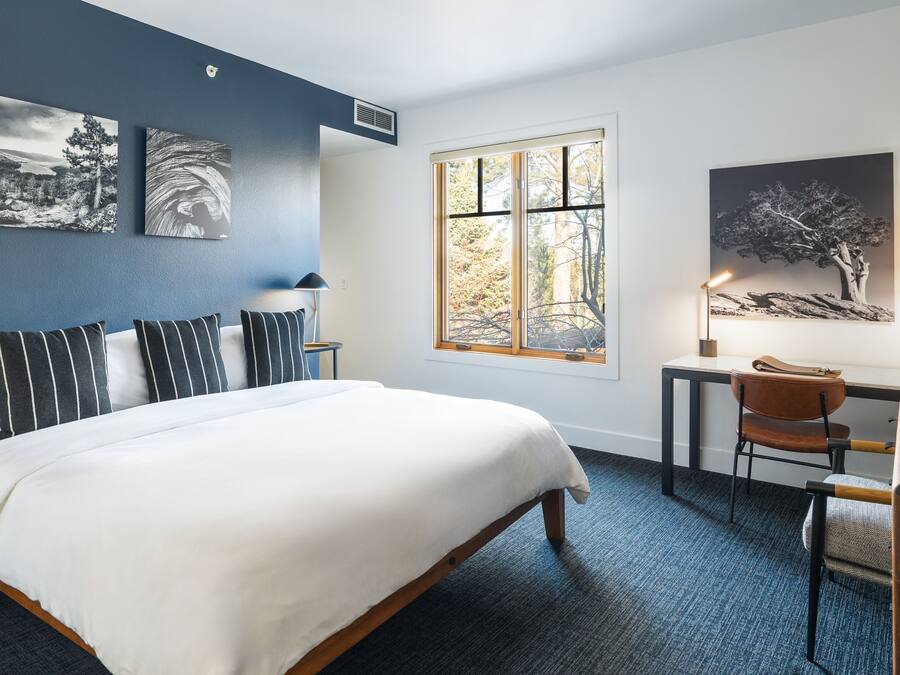 Quarto de hotel com uma cama grande, uma escrivaninha e uma cadeira. Há duas janelas e quadros nas paredes.
