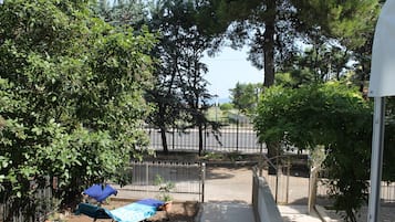 Área da propriedade