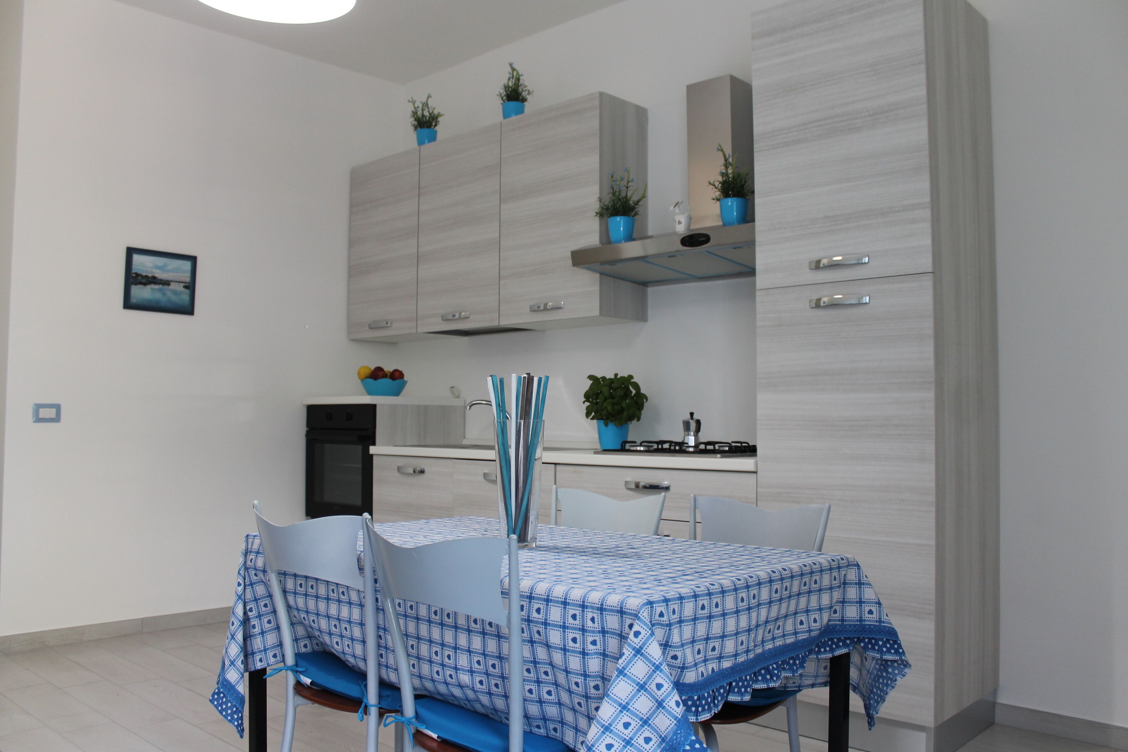 Réfrigérateur, four, plaque de cuisson, lave-vaisselle