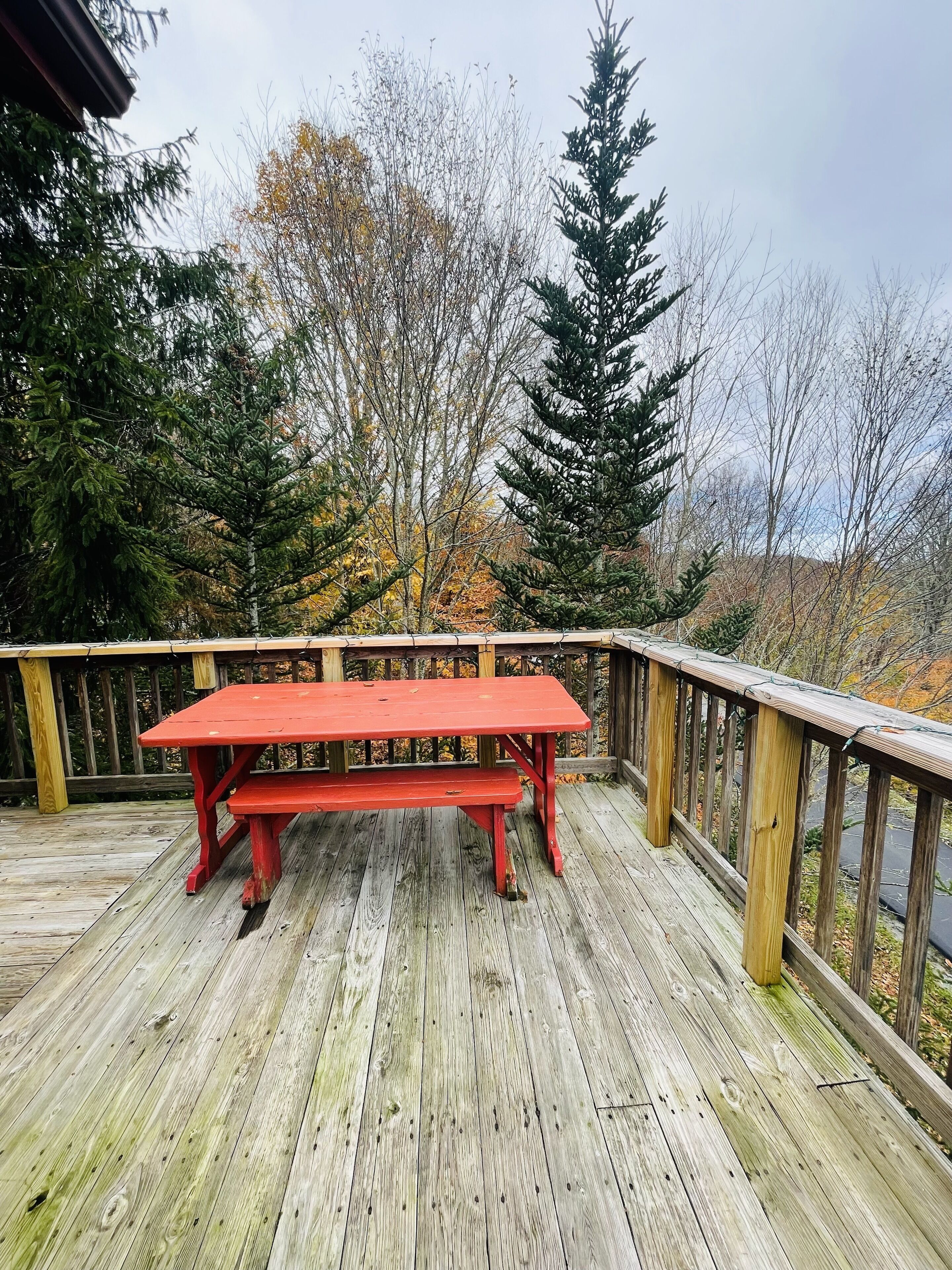 Top 19 Cabin Rentals In Sugar Mountain, North Carolina Updated 2024