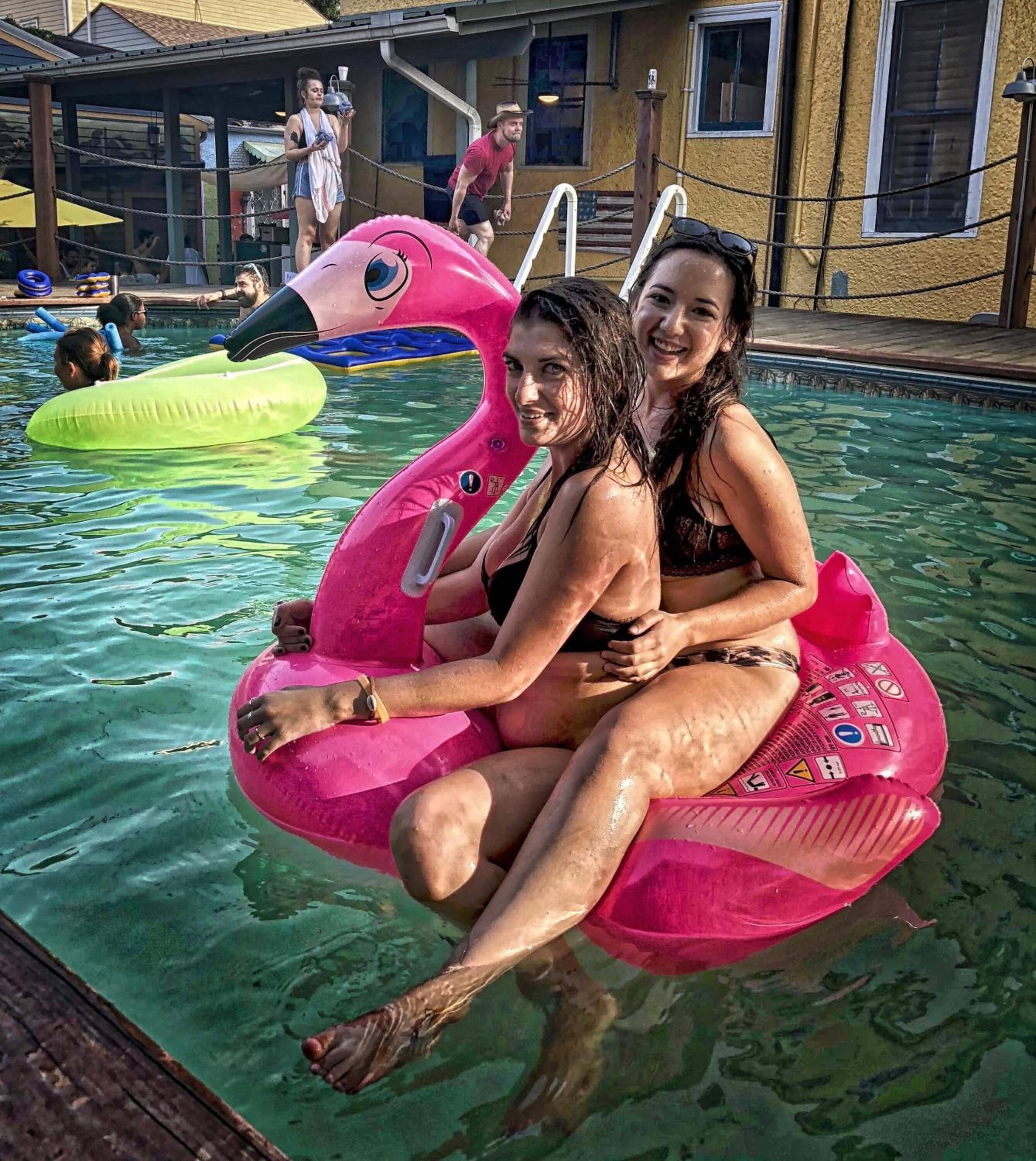 En swimmingpool med flydende flamingoer.