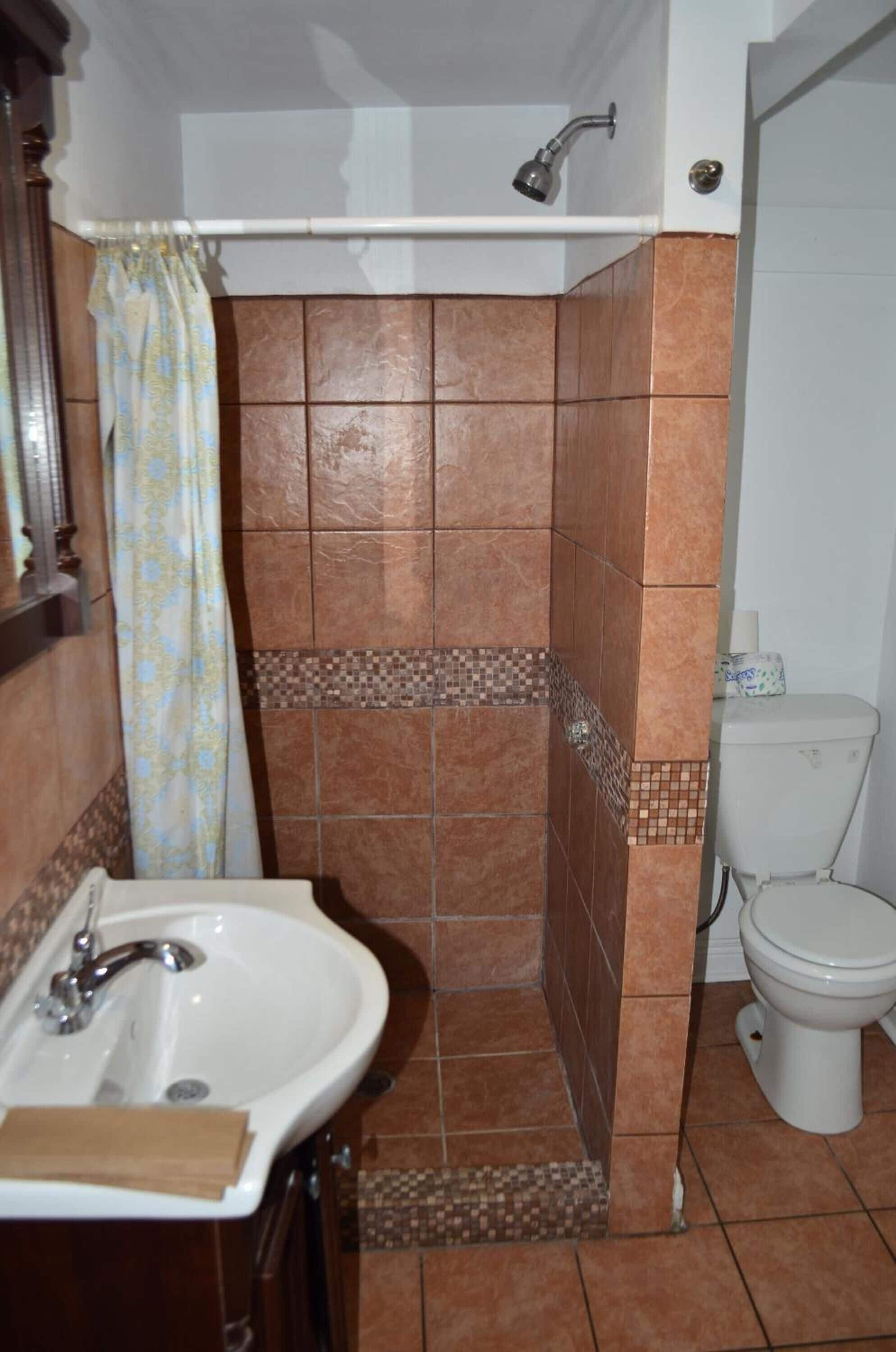 A bathroom with a shower, a sink, and a toilet.