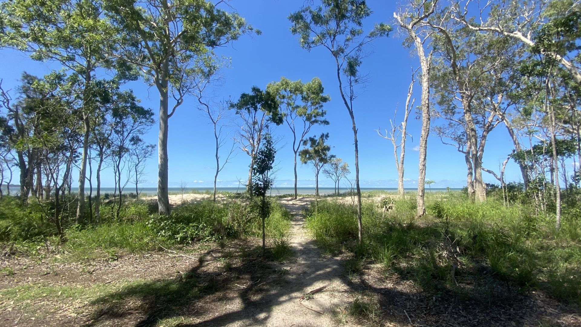 Yolanda - Burrum Heads- Beachfront - 3BR- Aircon — image 7