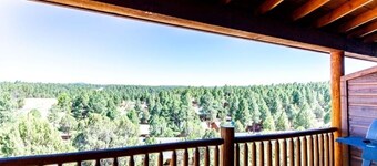 Spacious 2 BR/2BA  with Great Views near Fool Hollow Lake