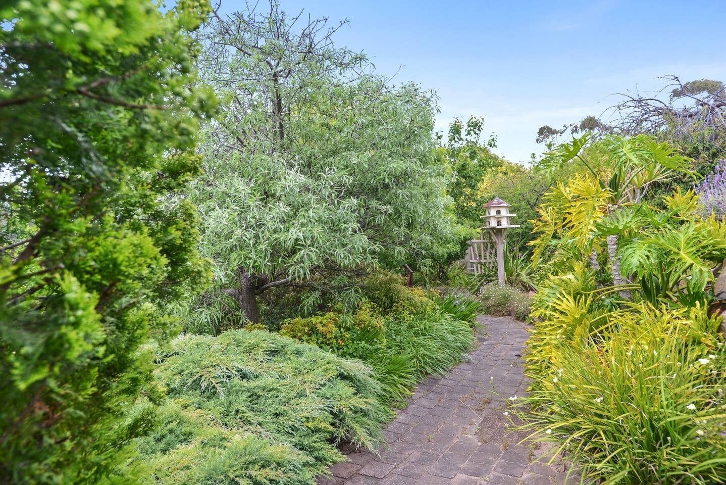 10 Clive Ave - Waterviews — image 18