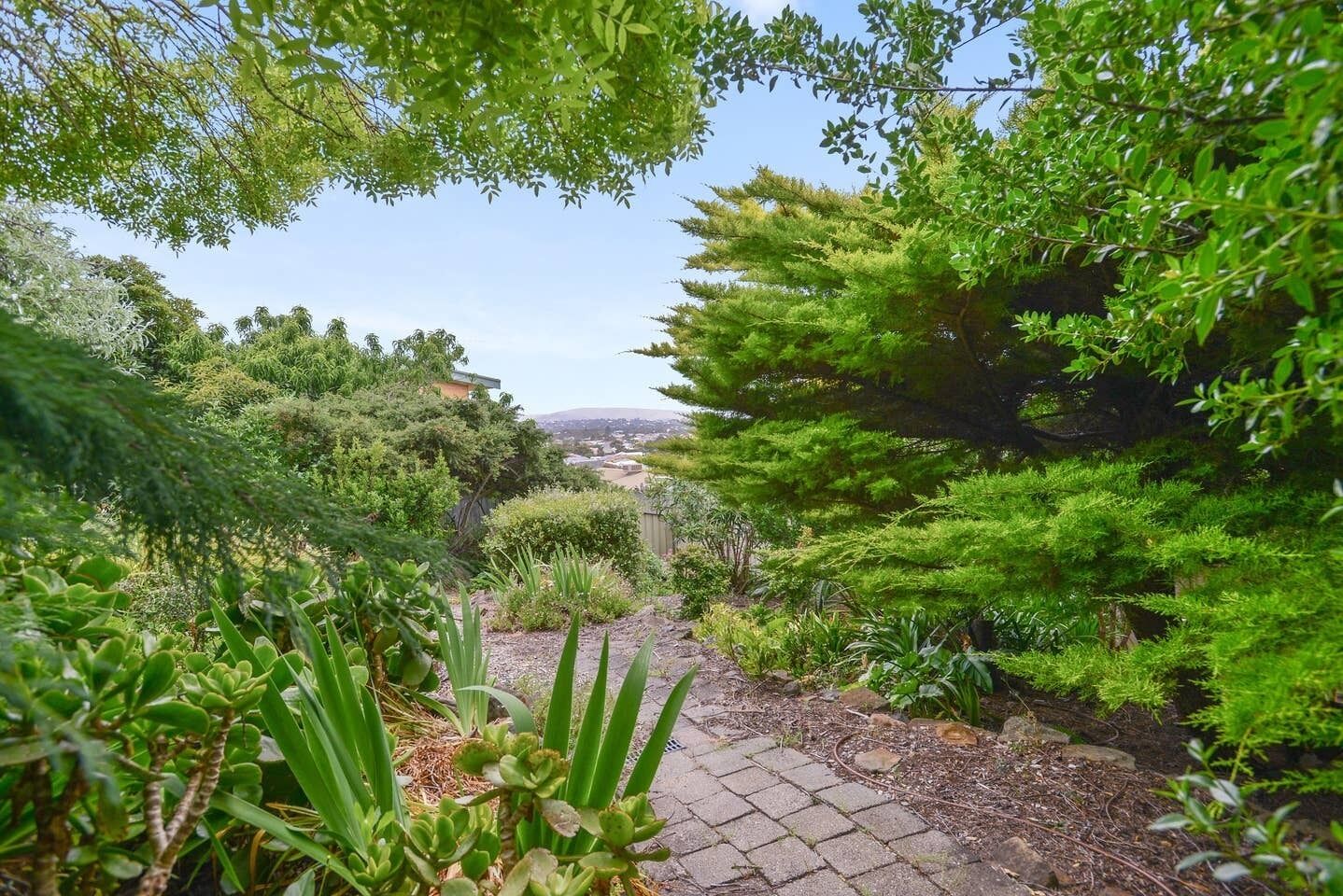 10 Clive Ave - Waterviews — image 17