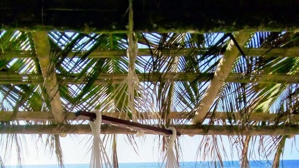 Una silla colgante blanca sobre una playa arenosa, con una palmera encima y el océano al fondo.