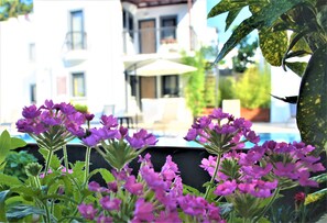 Garden - Modern Life Bodrum Otel (Bodrum)