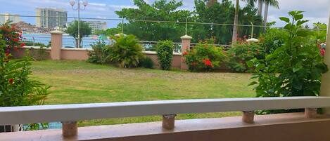 A balcony with a view of a grassy area, palm trees, and a distant body of water.