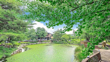 Jardines del alojamiento