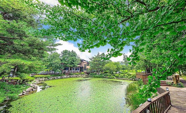 May Garden - Gangneung-si