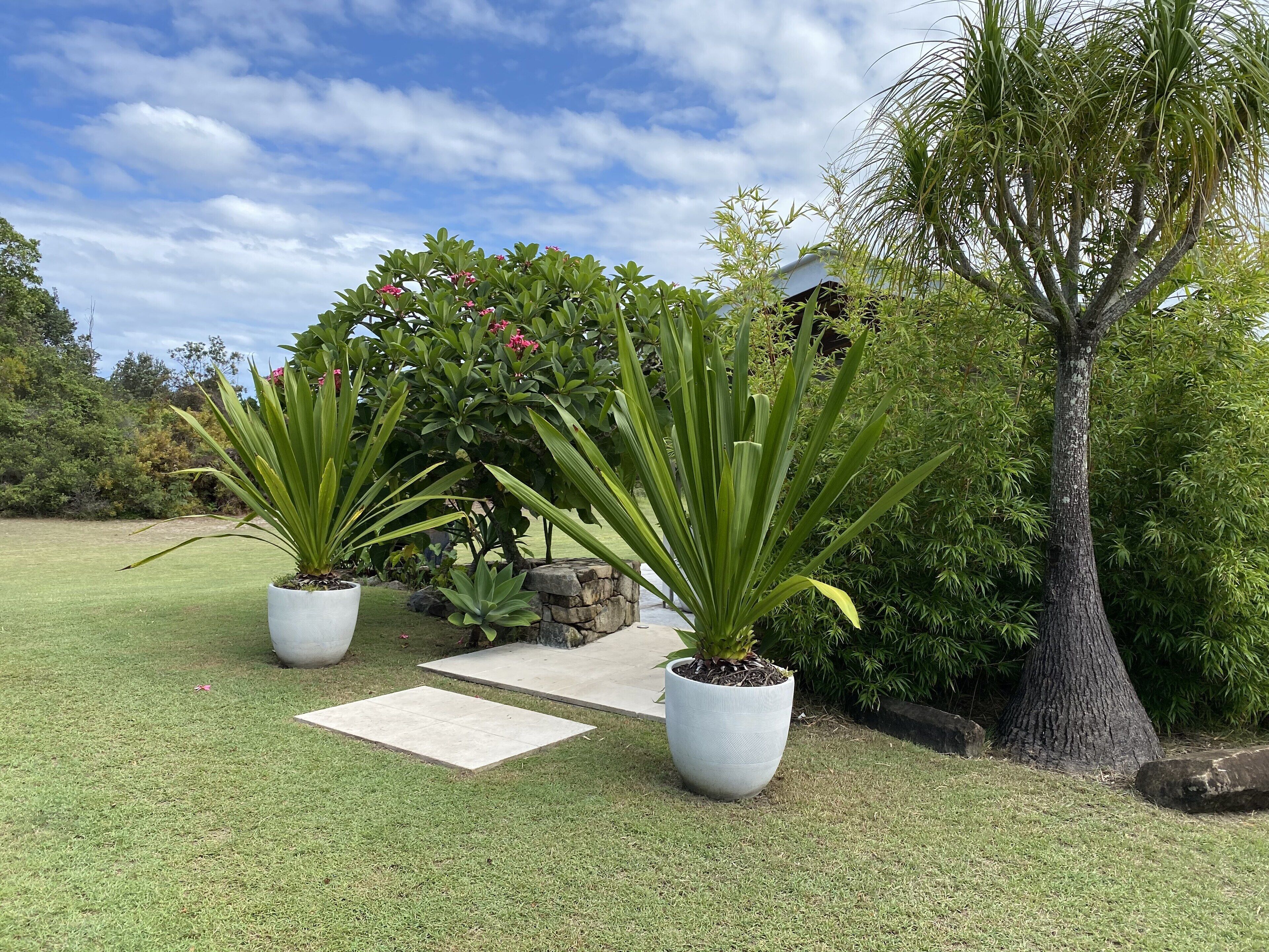 Áreas de la propiedad