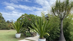 Un jardin agrémenté de plantes en pot, un sentier en pierre et un grand arbre.