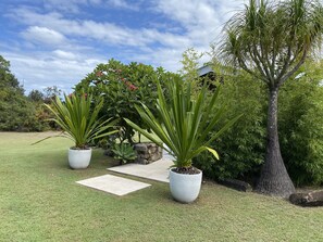 Property grounds - Beach House-Perfect Retreat- 5 min walk to Tallow Beach! (Byron Bay)