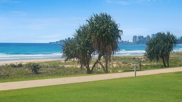 Un paseo marítimo con palmeras, una playa y un horizonte urbano al fondo.