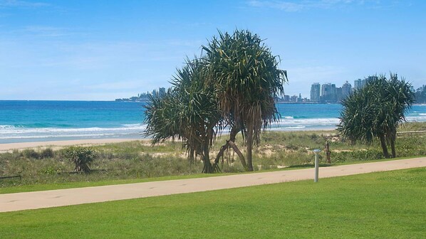 A coastal walkway with palm trees, a beach, and a city skyline in the background.